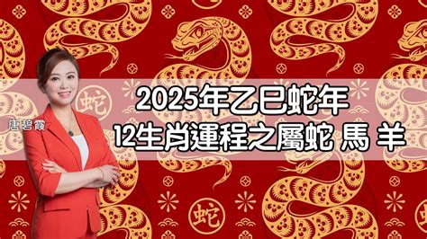 2025年蛇年運程|蘇民峰2025蛇年運程｜12生肖完整運勢全面睇！犯太歲4生肖+開 